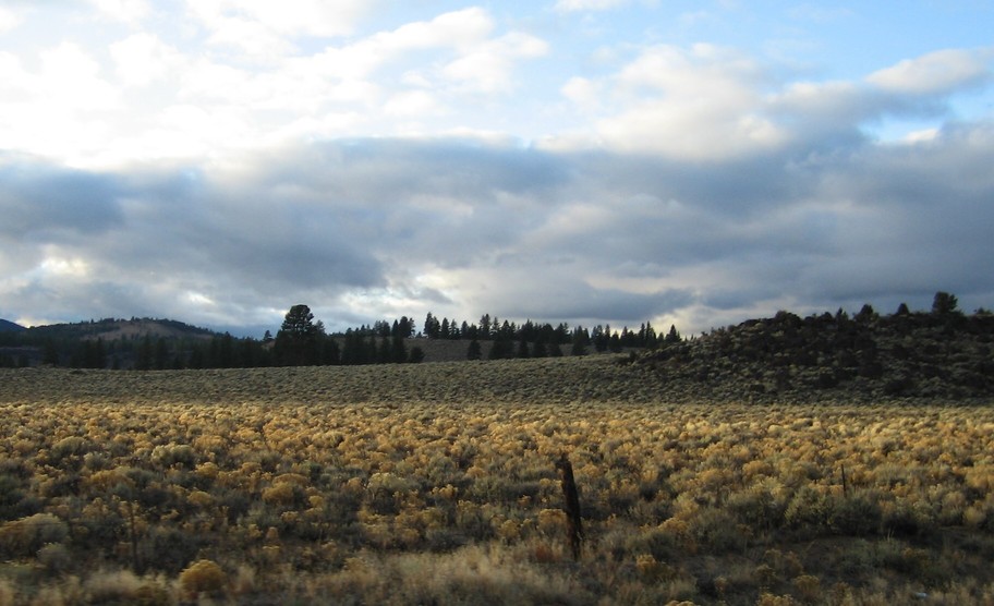 Lakeview, OR : Terrain North of Lakeview.....
