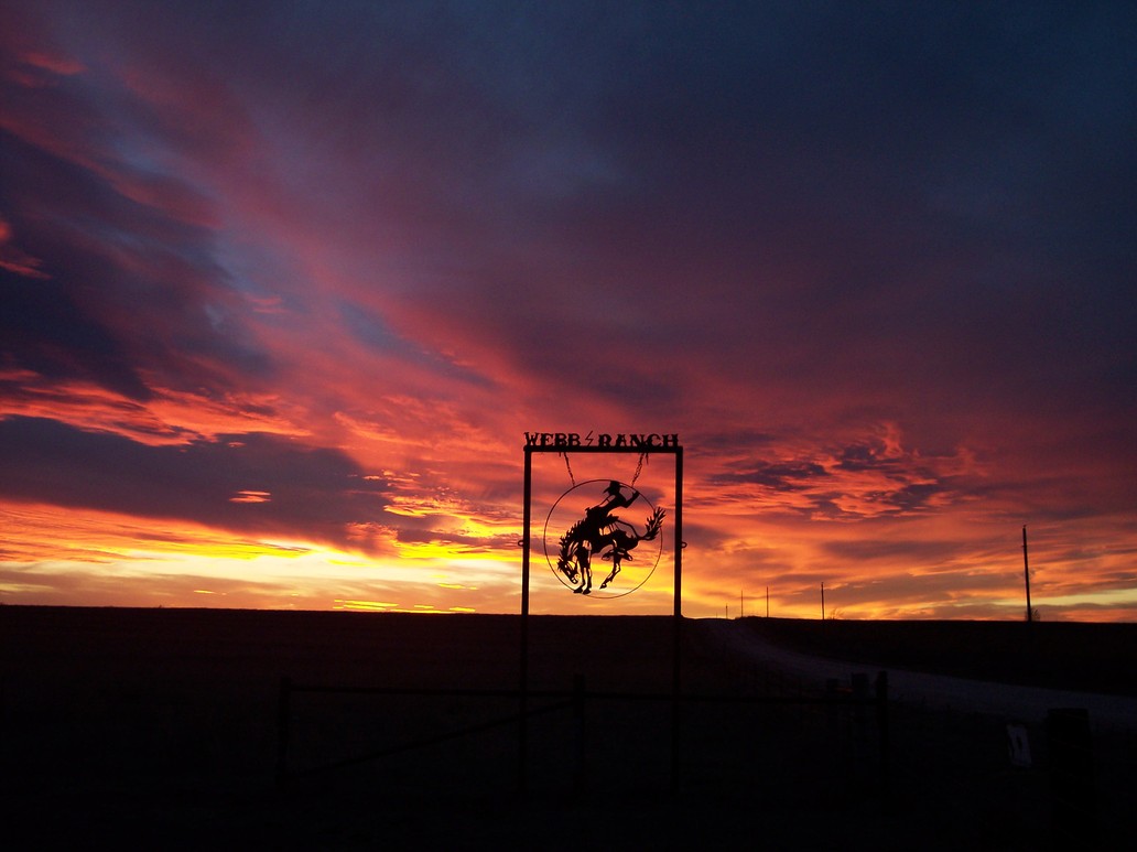 Darrouzett, TX : Only God can paint like that