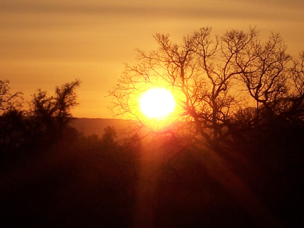 Red Bluff, CA : Red Bluff sunrise