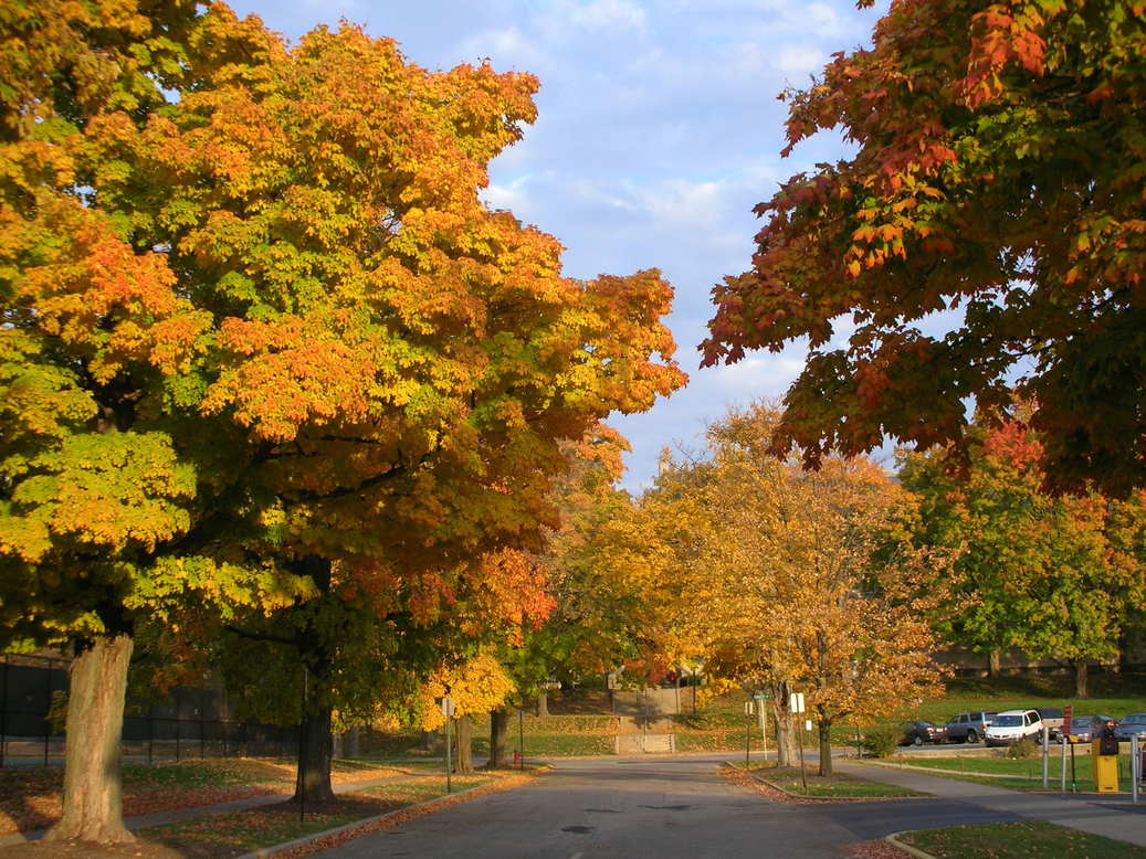 Bloomington, IN: autumn on campus!