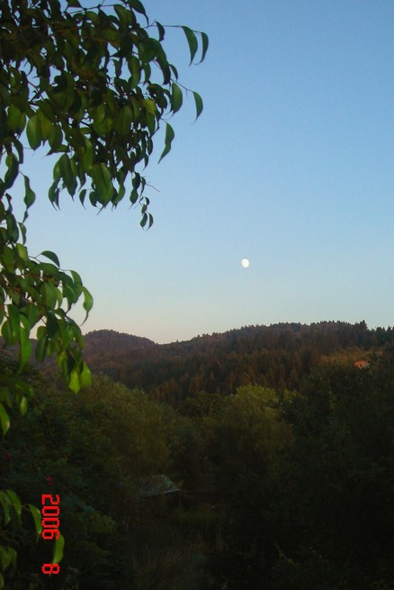 Calistoga, CA : Knights Valley in Calistoga