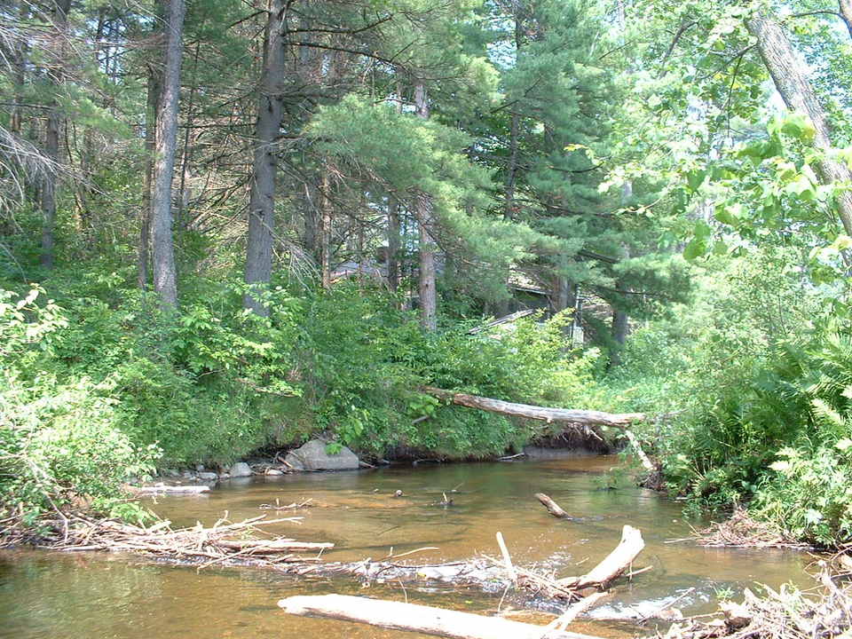 Lewis, NY : Camp on Spruce Mill Brook in Lewis