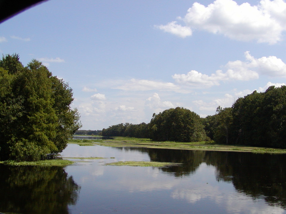 Inverness, FL: Down by the river on a summer day SR44 bridge view