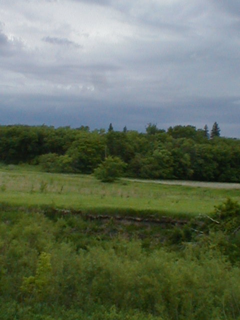 Dawson, MN : Stormy weather