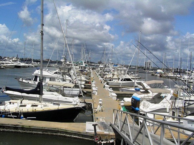 Mount Pleasant, SC : Charleston Harbor Marina in Mt. Pleasant