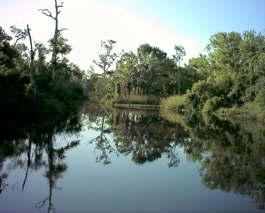 Punta Gorda, FL: Prarie Creek - a source of Punta Gorda's water supply