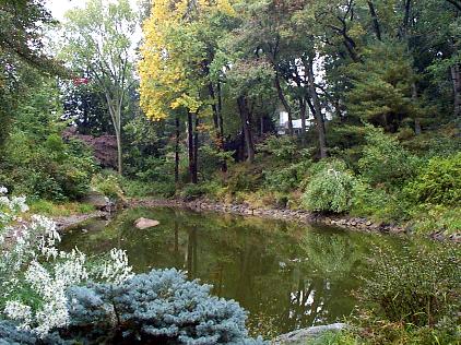 Winchester, MA: Freeman's Pond