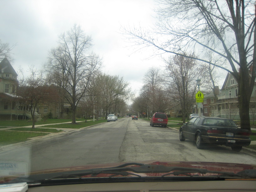 Oak Park, IL: typical street in oak park...couple blocks south of lake. st.