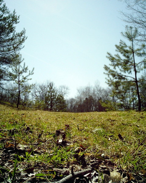 Holland, NY : field, holland ny
