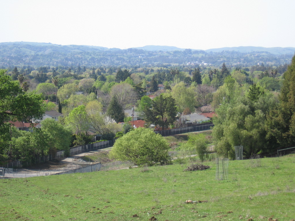 Concord, CA: View of Concord from Lime Ridge Open Space, March 2007