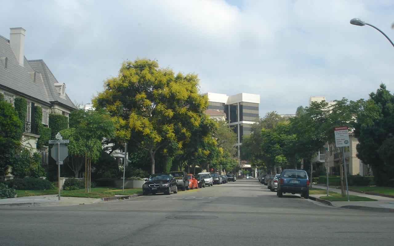 Beverly Hills, CA : Camden Drive, Beverly Hills.