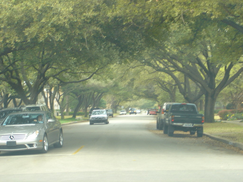 Highland Park, TX : Residential street in Highland Park, Tx.