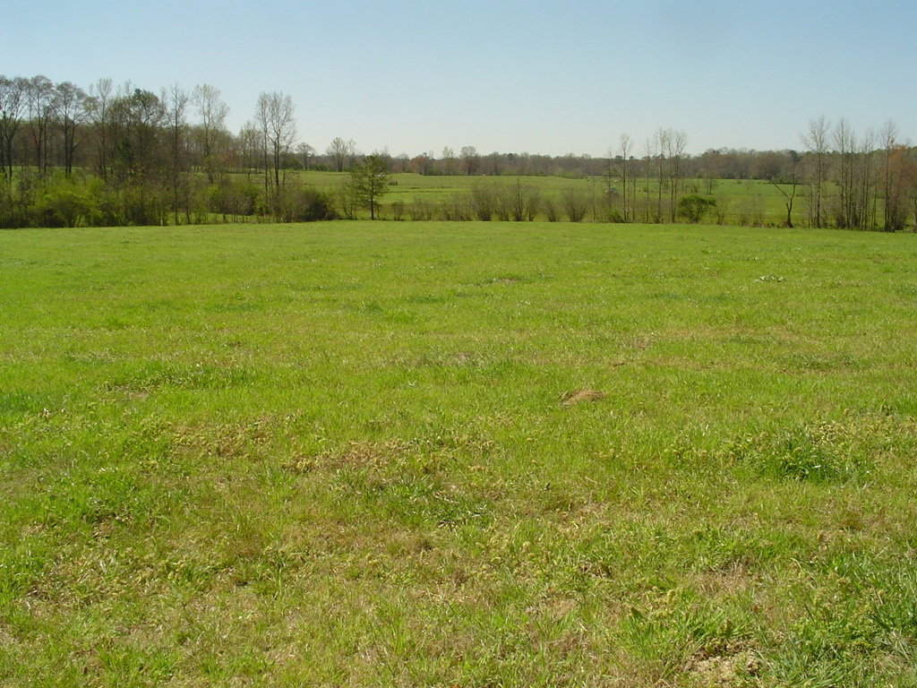 Bowdon, GA : 