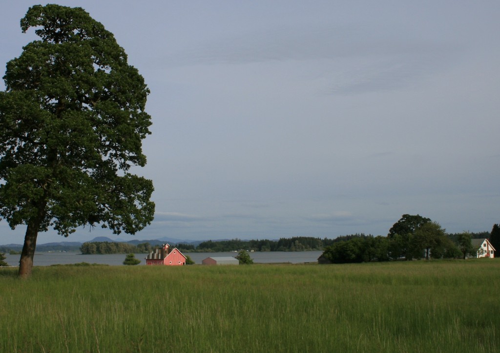 OR Barn on Fern Ridge Lake photo, picture, image (Oregon) at