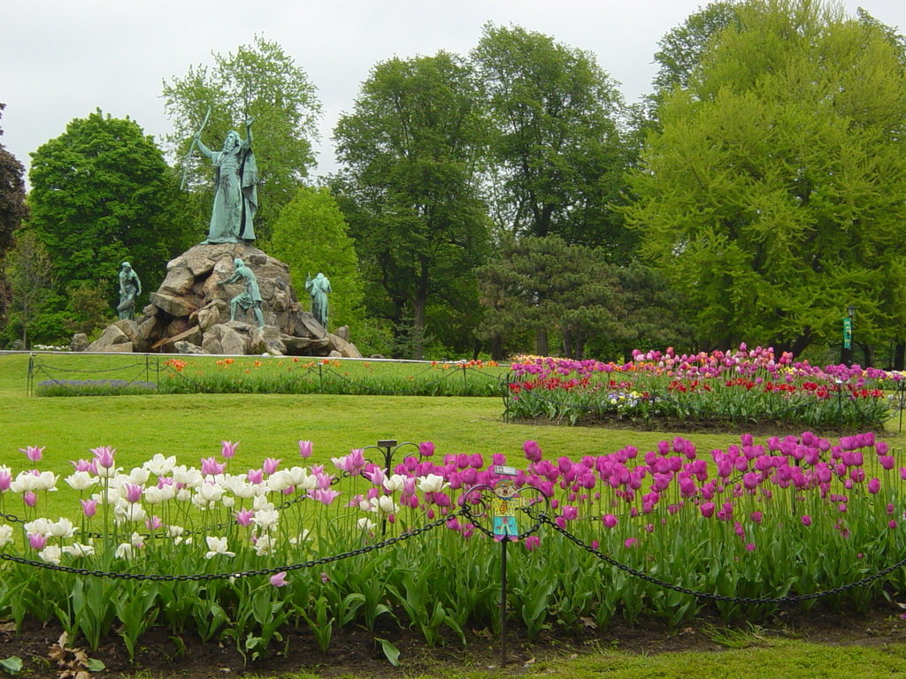 Albany, NY: Tulip Festival in Washington Park with Flat Stanley