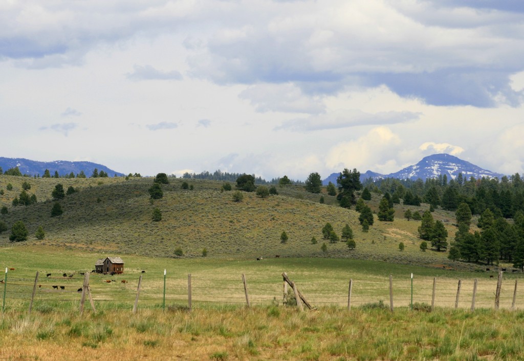 Seneca, OR old homestead...... photo, picture, image (Oregon) at city