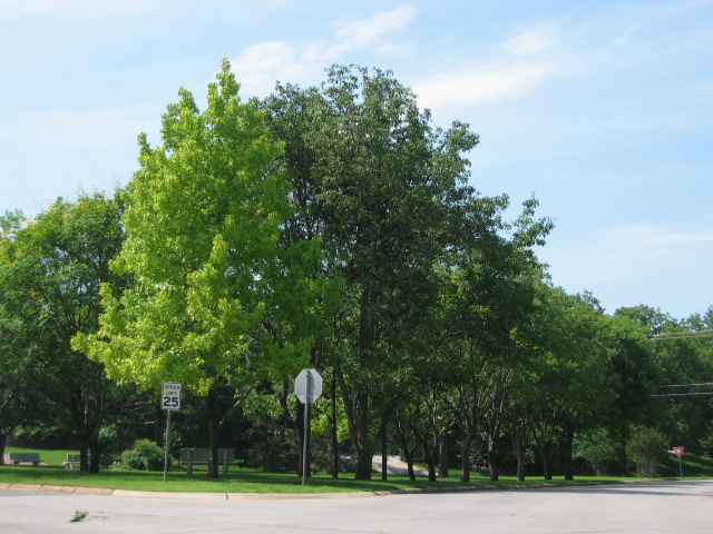 Nichols Hills, OK : Streets