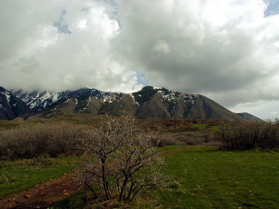 Elk Ridge, UT : Looking South to Mt. Loafer photo, picture, image (Utah