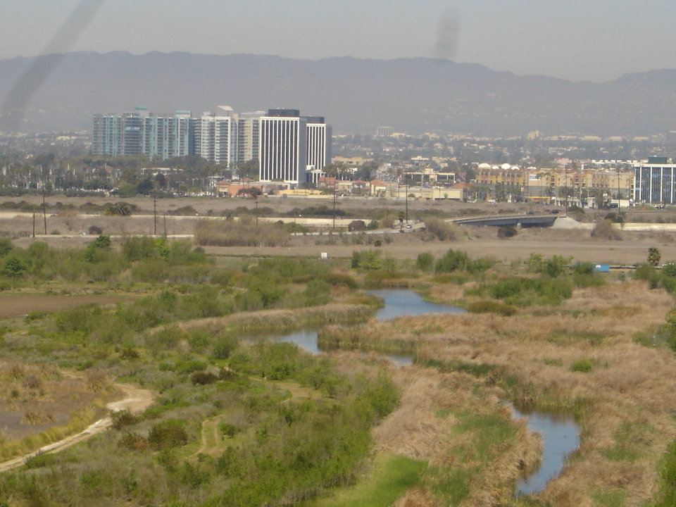 Los Angeles, CA : Preserved wetlands in west Los Angeles.