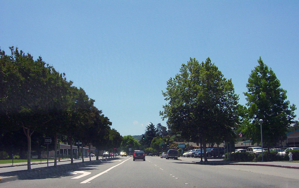 Walnut Creek, CA : Walnut Creek South Main between Newell Ave and Lilac Dr.