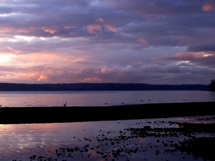 Des Moines, WA: Sunset from the Des Moines Beach Park with the tide mostly out...