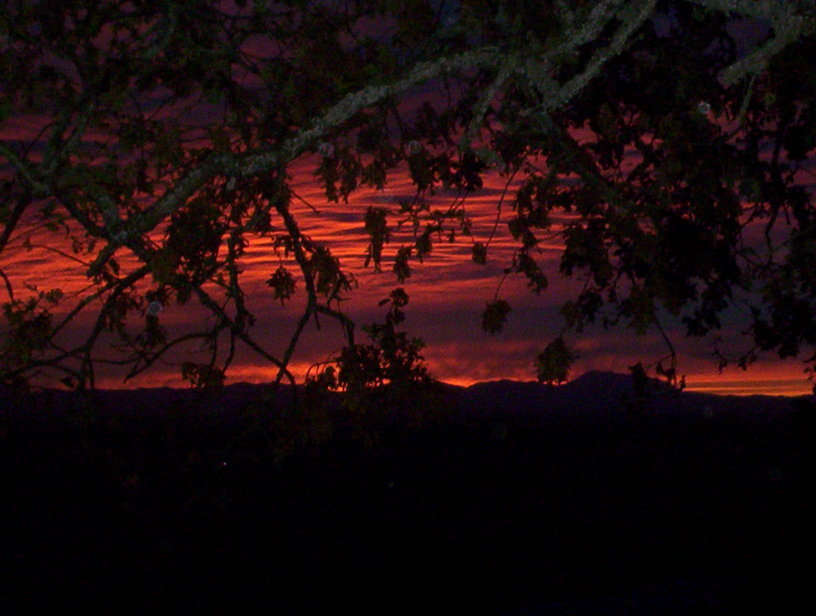 Brownsville, OR : Sunset