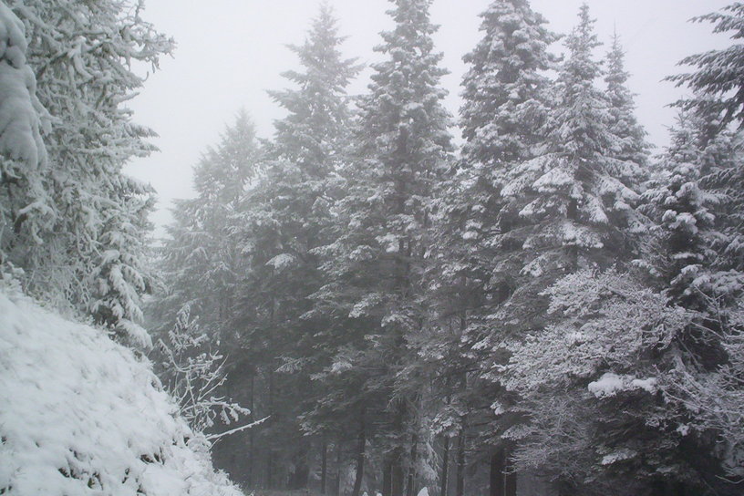 Brownsville, OR : Winter 2006