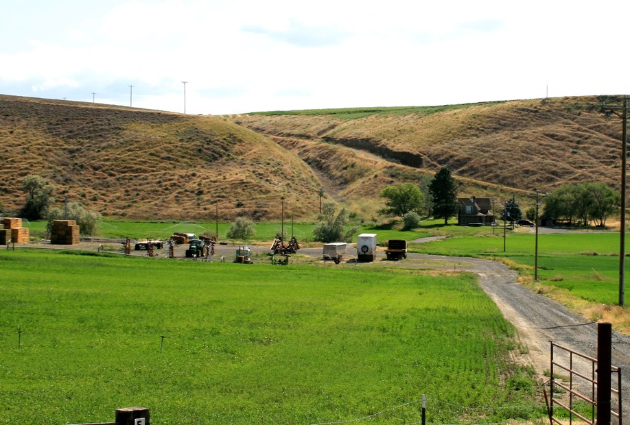 Lexington, OR : farm..