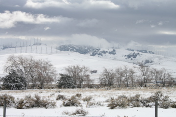 Tehachapi, CA: blanket of snow