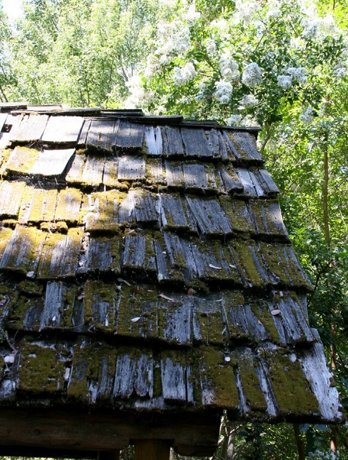 Amador City, CA : Wood shake roof