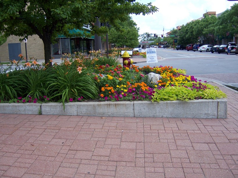 Midland, MI : Down town  Midland Mi