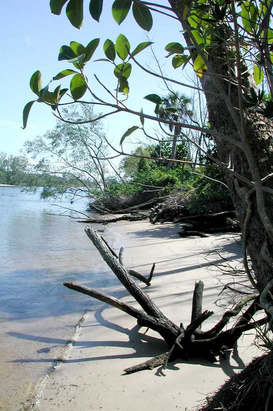 Palm Beach Gardens, FL : Close proximity to some of the most beautiful beaches in the state