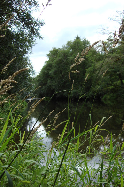 Pe Ell, WA Chehalis River photo, picture, image (Washington) at city