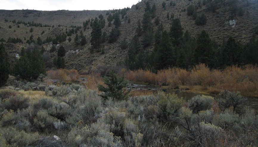 Warner Valley, OR : Deep Creek in the fall ....Great trout fishing.....