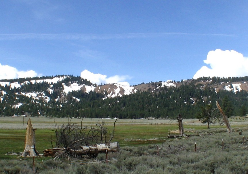 Warner Valley, OR : In the Warner Mtns..