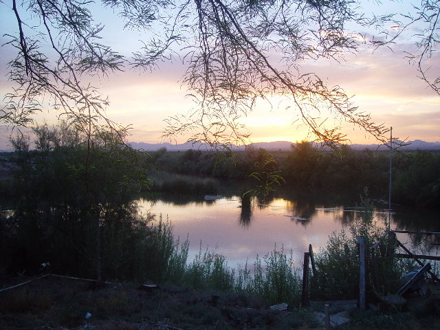 Palo Verde, Ca : Palo Verde Lagoon At Sunset Photo, Picture, Image 