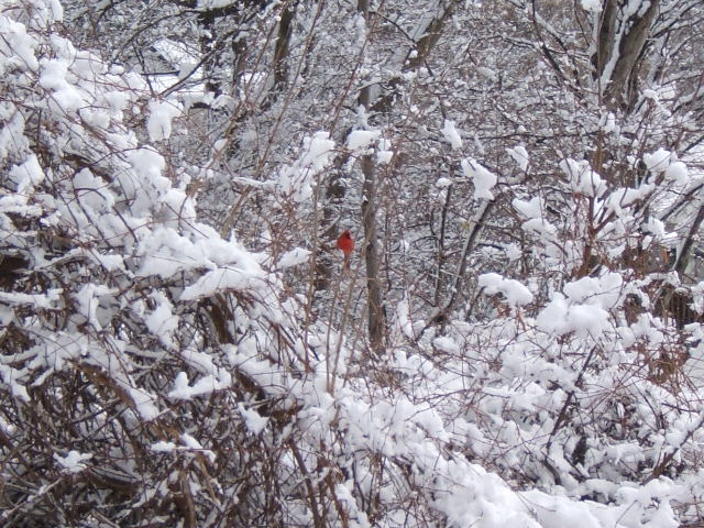 Bay Shore, NY: Winter