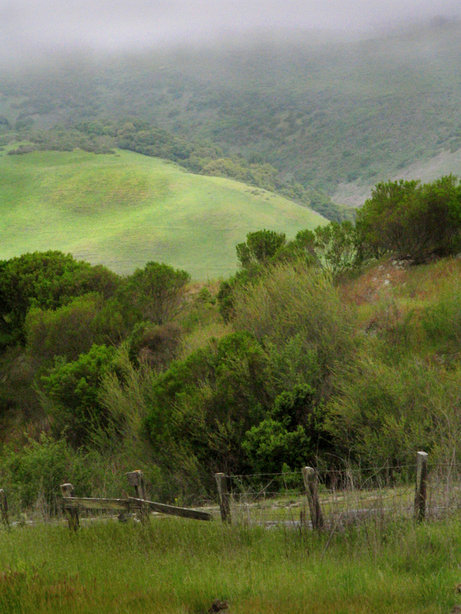 Aromas, CA : Aromas - 129 South of Rogge