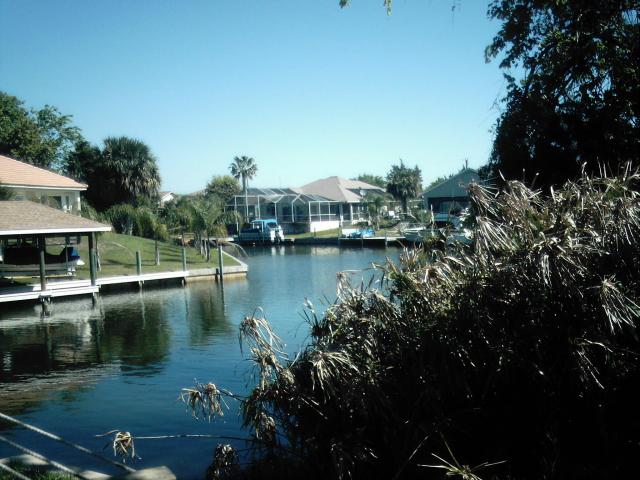 Rio Grande Nj My Back Yard In Palm Cost Florida Photo