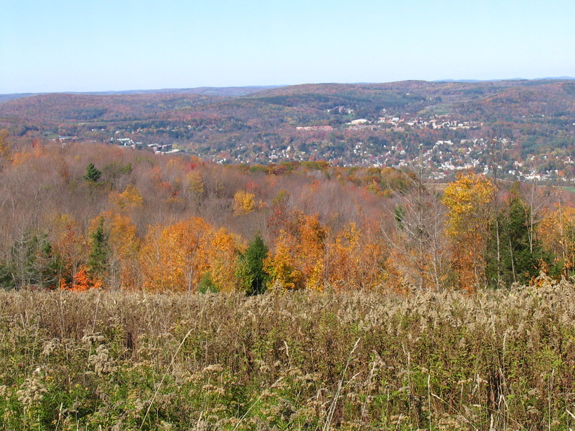 Oneonta, NY : Looking over Oneonta and the Susquehanna valley from Franklin Mt.