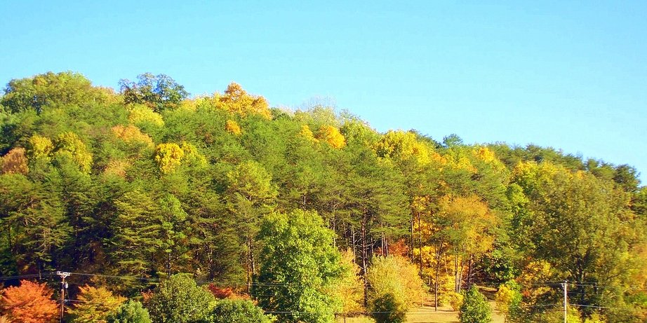 Pigeon Forge, TN : Pigeon Forge: fall foliage - mountaintops in changing color!