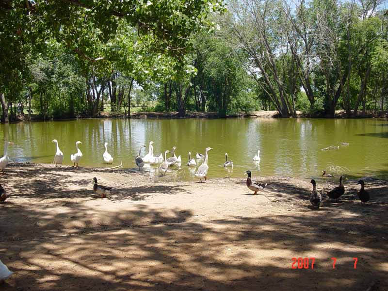 Clovis Nm Ned Houk Park Photo Picture Image New