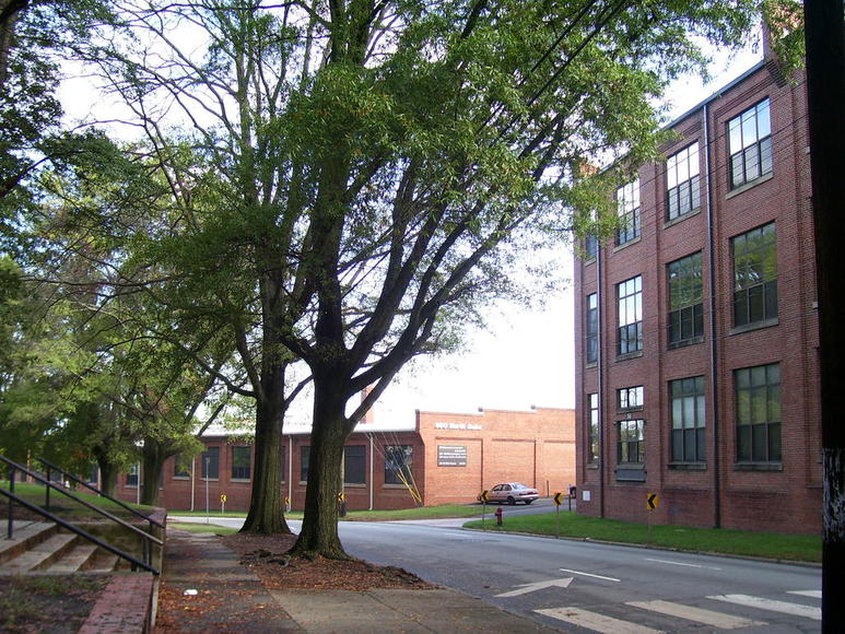 Durham, NC: Downtown Durham - Tree-lined Street by the NC School of Arts