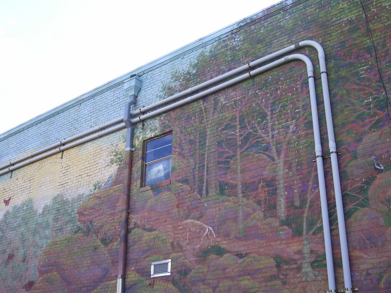 Durham, NC: Downtown Durham - Penny Furniture Building Mural