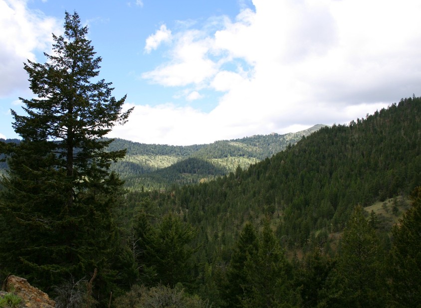 Hereford, OR : Blue Mtns....