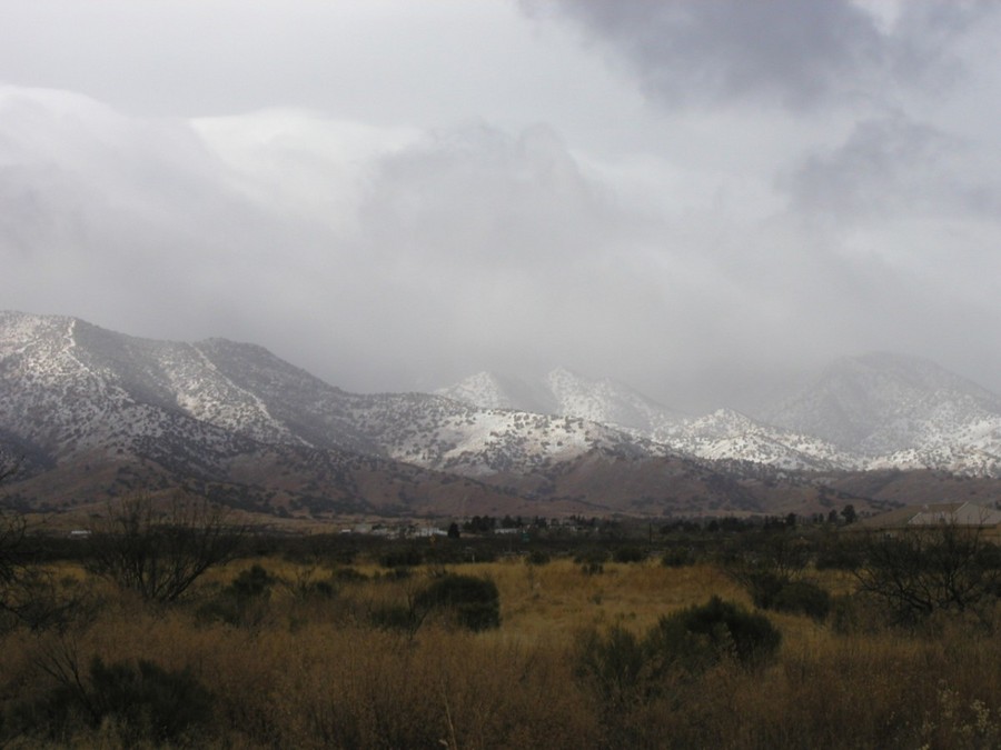 Sierra Vista, AZ: Huachuca Mountains as viewed from northeast Sierra Vista