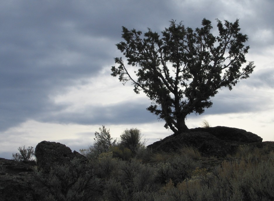 Diamond, OR : In the High Desert.....