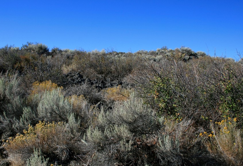 Tule Lake, CA : The Troopers charged up this hill in the first assault losing 37...The Modocs, firing from above, lost none....