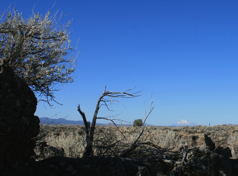 Tule Lake, CA : Looking west from the Stronghold, Mt Shasta in the distance....