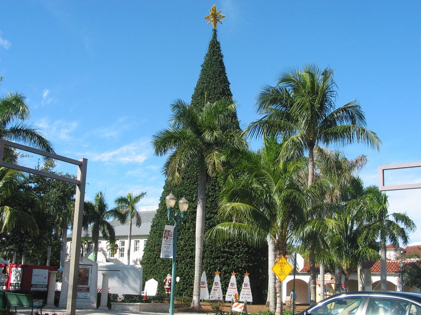 Delray Beach, FL Delray BeachChristmas Tree photo, picture, image